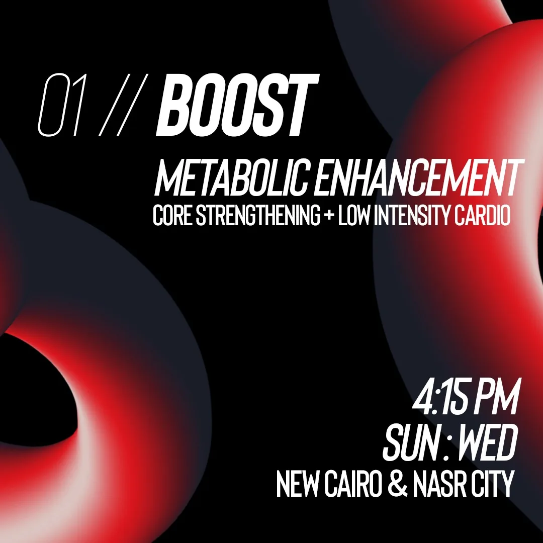 Three Programs, BOOST / TRANSFORM / ELASTIX, Ramadan 2026 — slide 2